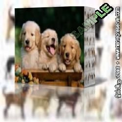 EBOOK - Para resolver problemas de Carrapatos, Pulgas, Sarna