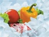 EBOOK - Congelamento de alimentos (curso)