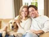 EBOOK - Como Cuidar do seu Animal de Estimação (curso)