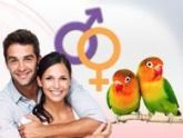 EBOOK - Reprodução sexuada e embriologia